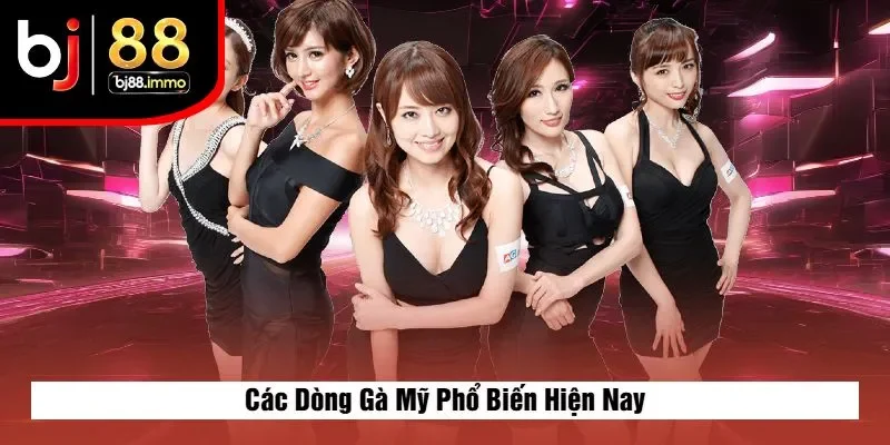 Các Dòng Gà Mỹ Phổ Biến Hiện Nay