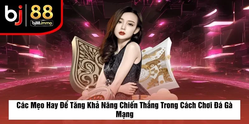 Các Mẹo Hay Để Tăng Khả Năng Chiến Thắng Trong Cách Chơi Đá Gà Mạng
