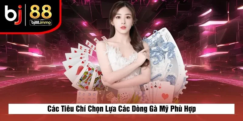 Các Tiêu Chí Chọn Lựa Các Dòng Gà Mỹ Phù Hợp