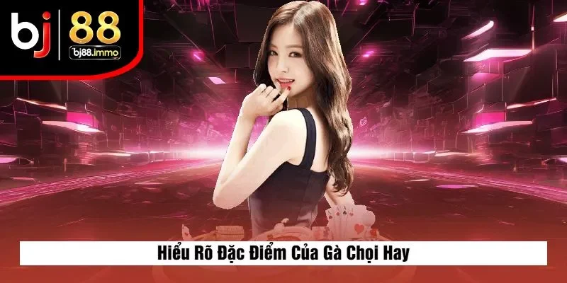 Hiểu Rõ Đặc Điểm Của Gà Chọi Hay