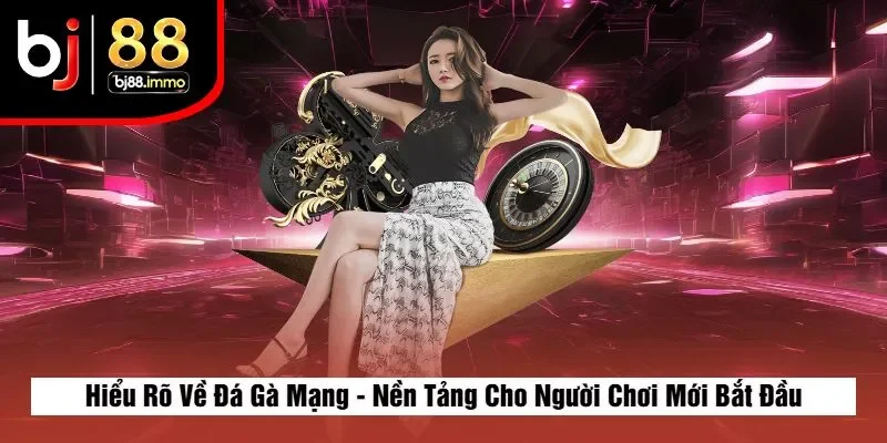 Hiểu Rõ Về Đá Gà Mạng - Nền Tảng Cho Người Chơi Mới Bắt Đầu