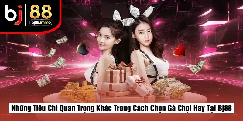Những Tiêu Chí Quan Trọng Khác Trong Cách Chọn Gà Chọi Hay Tại Bj88