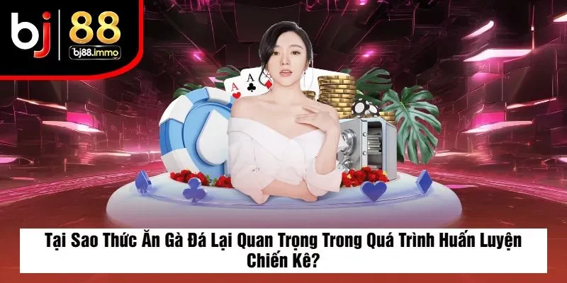 Tại Sao Thức Ăn Gà Đá Lại Quan Trọng Trong Quá Trình Huấn Luyện Chiến Kê?