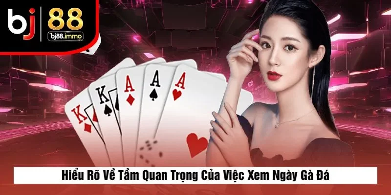 Hiểu Rõ Về Tầm Quan Trọng Của Việc Xem Ngày Gà Đá